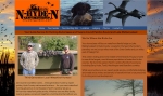 N-Hyde-N Guide Services duck hunting Lake Mattamuskeet, Hyde County and the Pamlico Sound